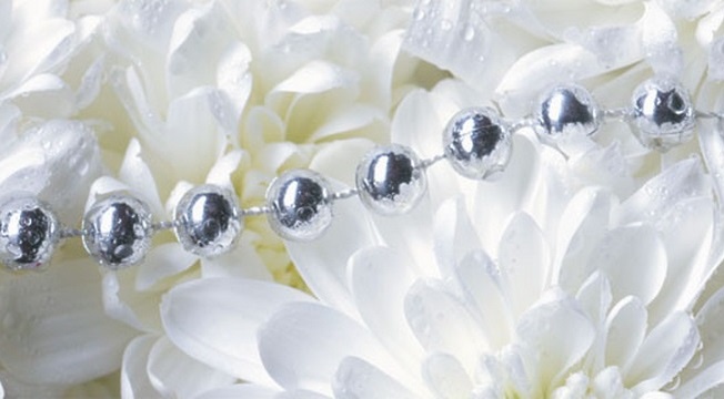 �������� ������ SP 008