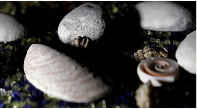 �������� ������ SP 009