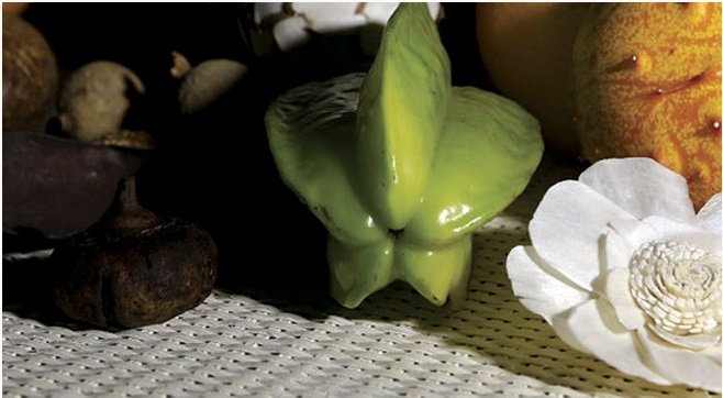 �������� ������ SP 13