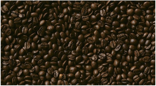 �������� ������ SP 14