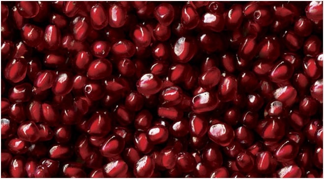 �������� ������ SP 15