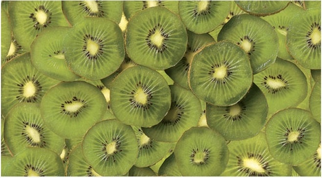 �������� ������ SP 16