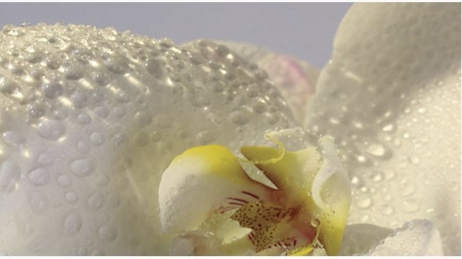 �������� ������ SP 18