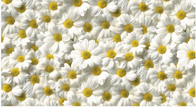 �������� ������ SP 19