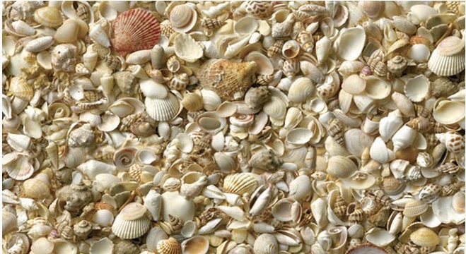 �������� ������ SP 20