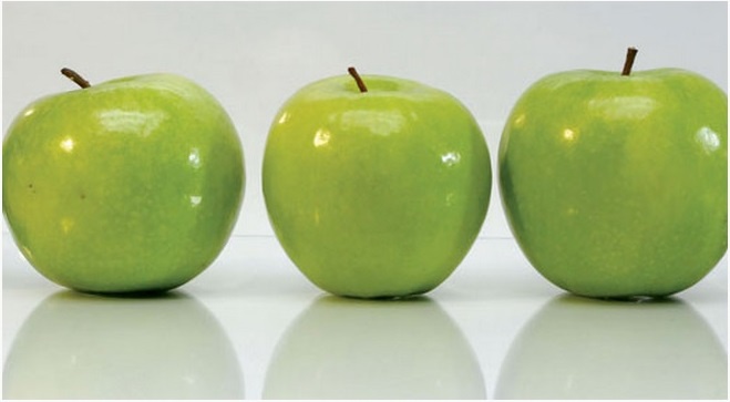 �������� ������ SP 26