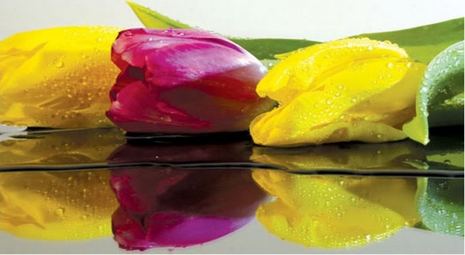 �������� ������ SP 29