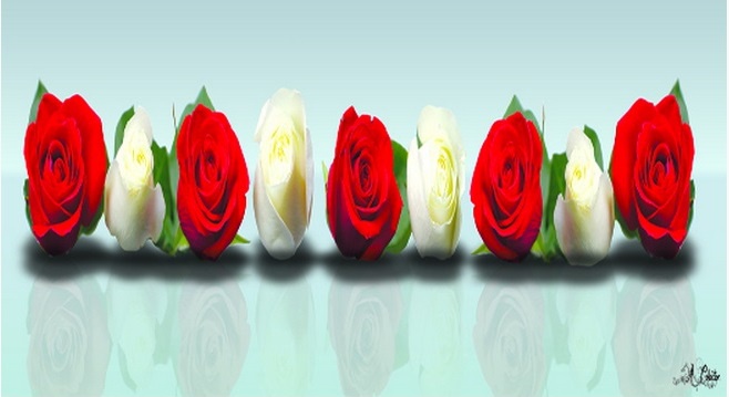 �������� ������ SP 30