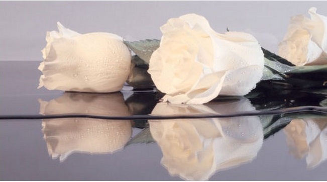 �������� ������ SP 33