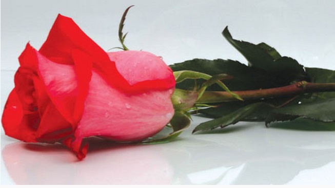 �������� ������ SP 32