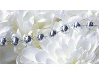 �������� ������ SP 008