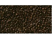 �������� ������ SP 14