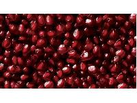 �������� ������ SP 15