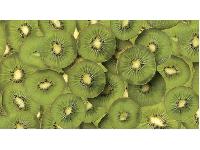 �������� ������ SP 16