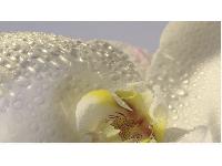 �������� ������ SP 18