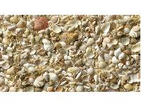 �������� ������ SP 20