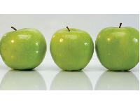 �������� ������ SP 26