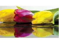 �������� ������ SP 29