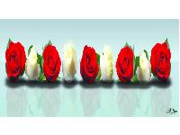 �������� ������ SP 30