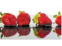 �������� ������ SP 31